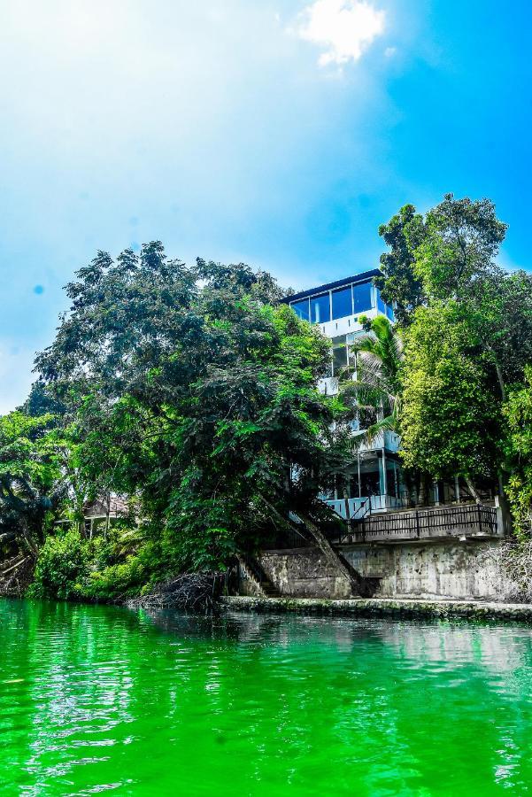 Villa Araliya 히카두와 외부 사진