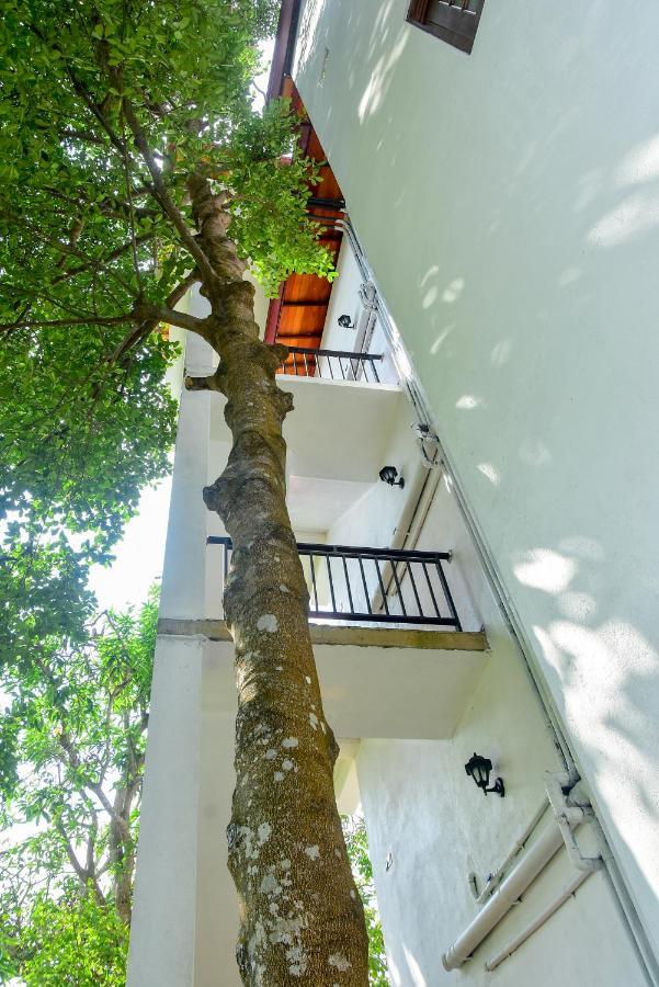 Villa Araliya 히카두와 외부 사진
